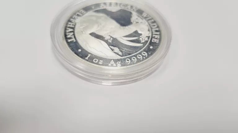 elephant-2023-somalia-african-wildlife-1-uncja-srebra-opakowanie-249140-1113193