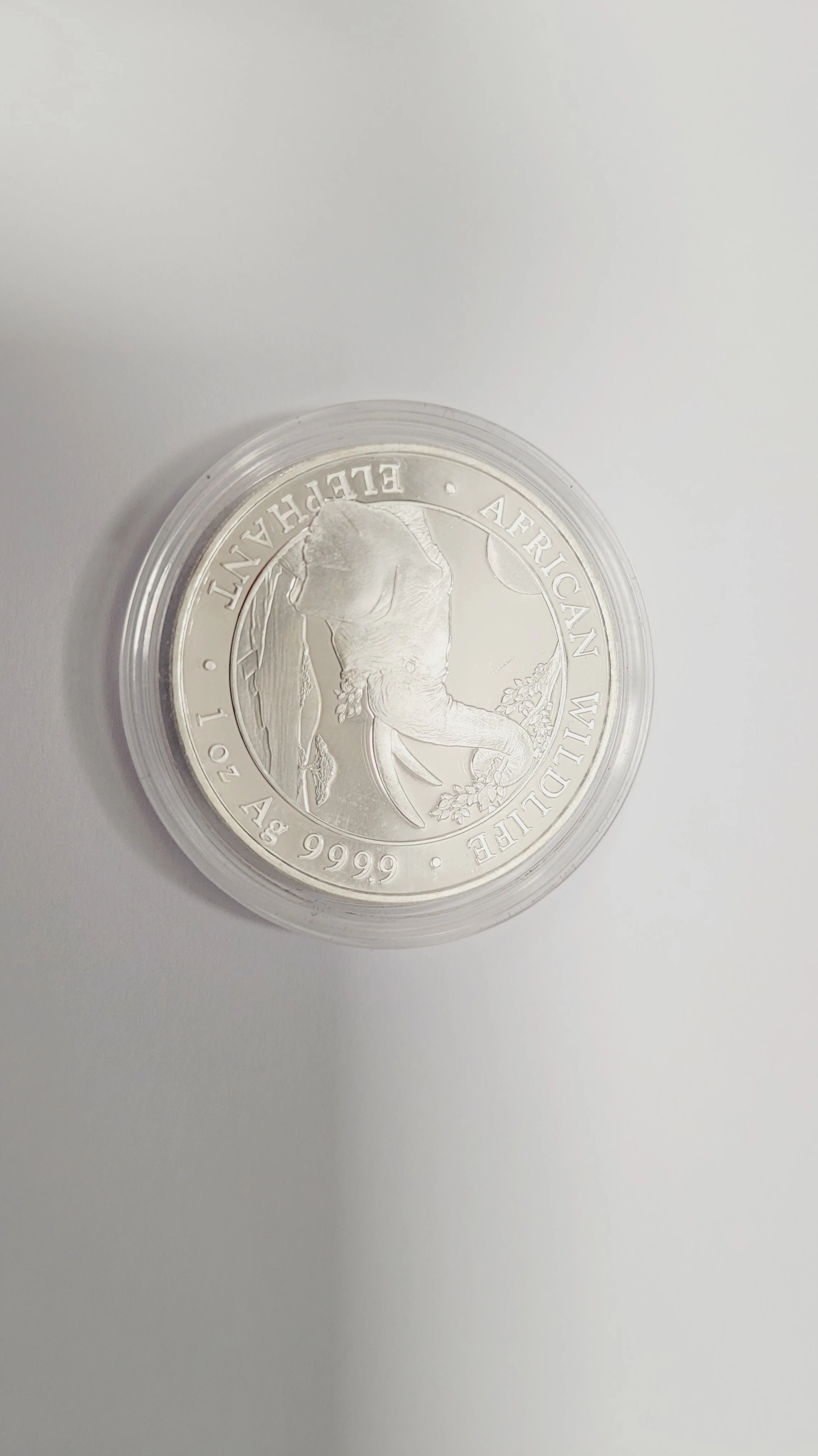 elephant-2023-somalia-african-wildlife-1-uncja-srebra-pilsudskiego-7-tarnowskie-gory
