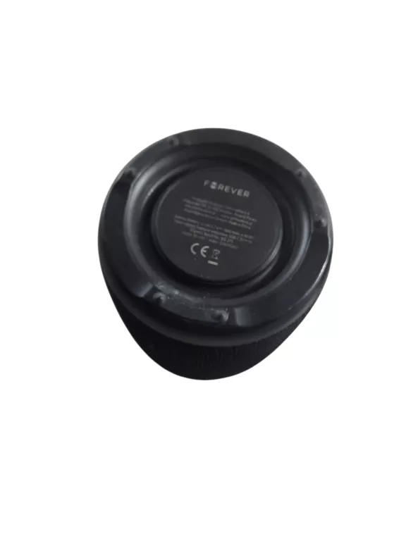 glosnik-forever-bs-650-stan-11323-2