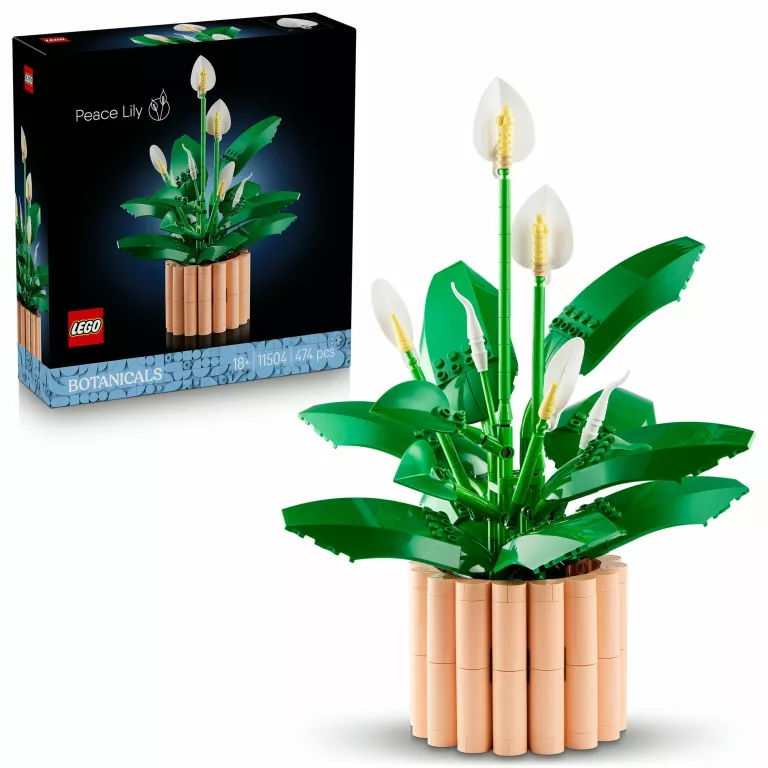 lego-11504-botanical-collection-skrzydlokwiat-niemodlinska-23-opole