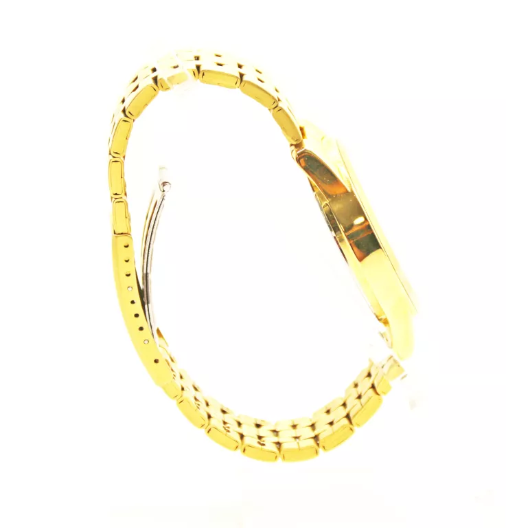 zegarek-meski-qq-c00a-013p-mechanizm-18738-1