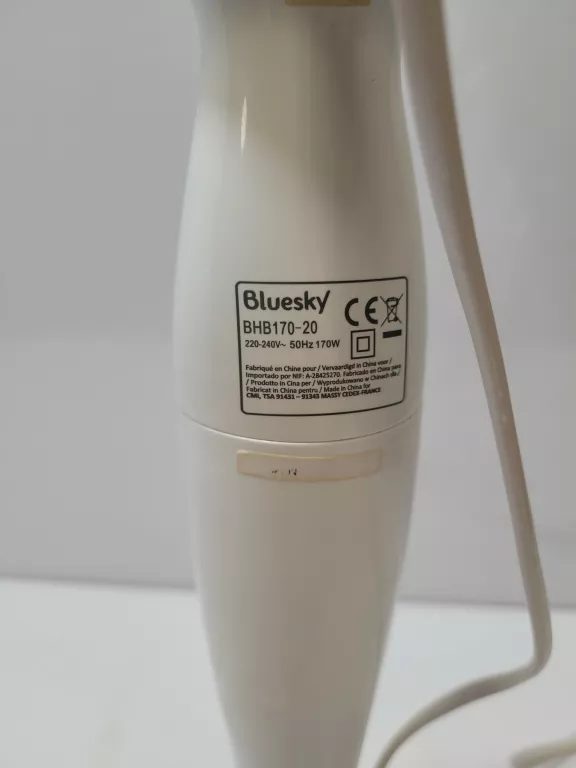 blender-bluesky-300w-stan-11323-2