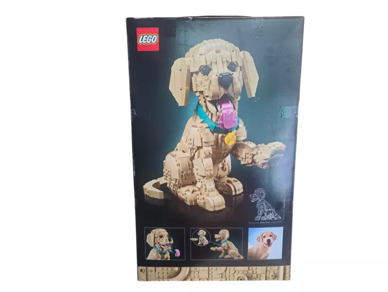 lego-icons-szczeniak-golden-retriever-11384-ean-gtin-5702018063651