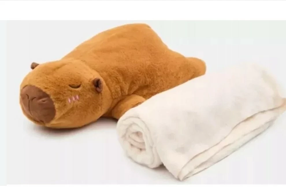 pluszowa-kapibara-z-kocem-sinsay-wojska-polskiego-2-nowa-sol