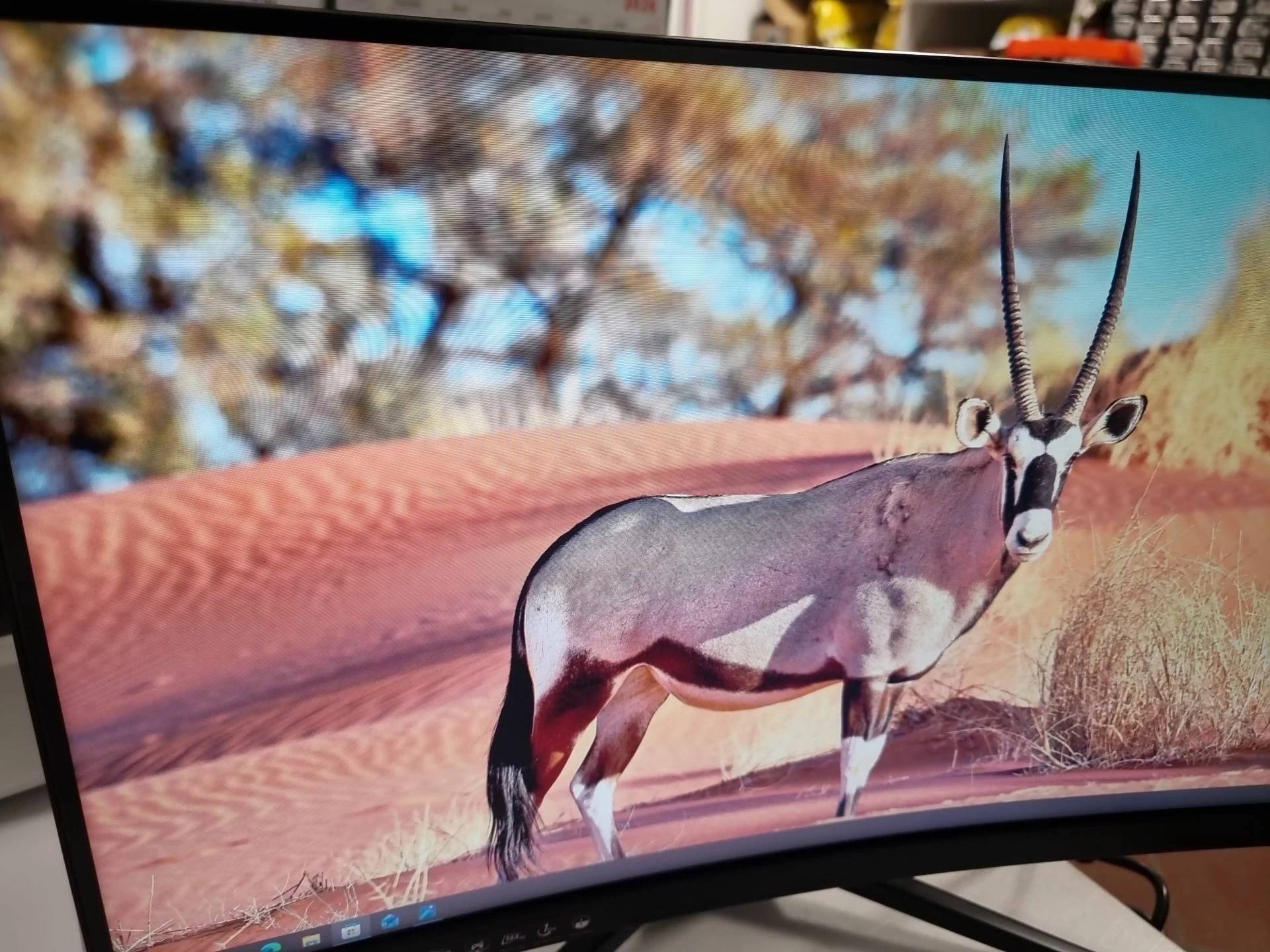 monitor-msi-optix-g241vc-kolor-249512-1647413