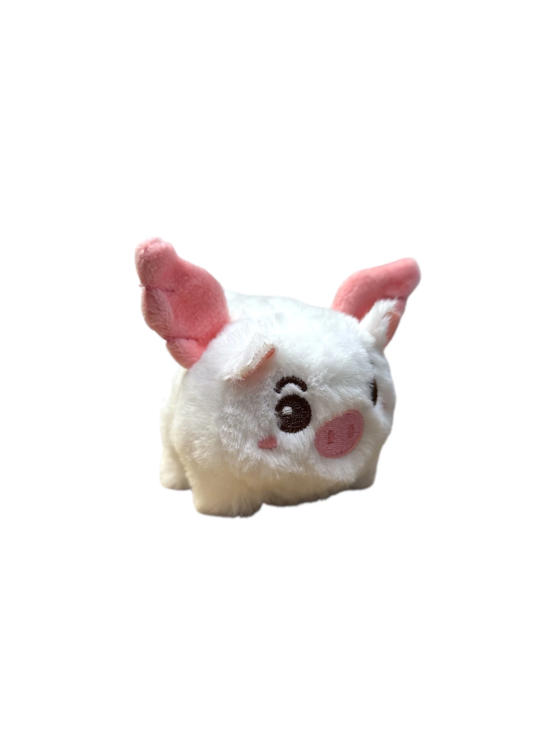 pluszak-swinka-ze-skrzydlami-biala-daszynskiego-22-wroclaw-gracja