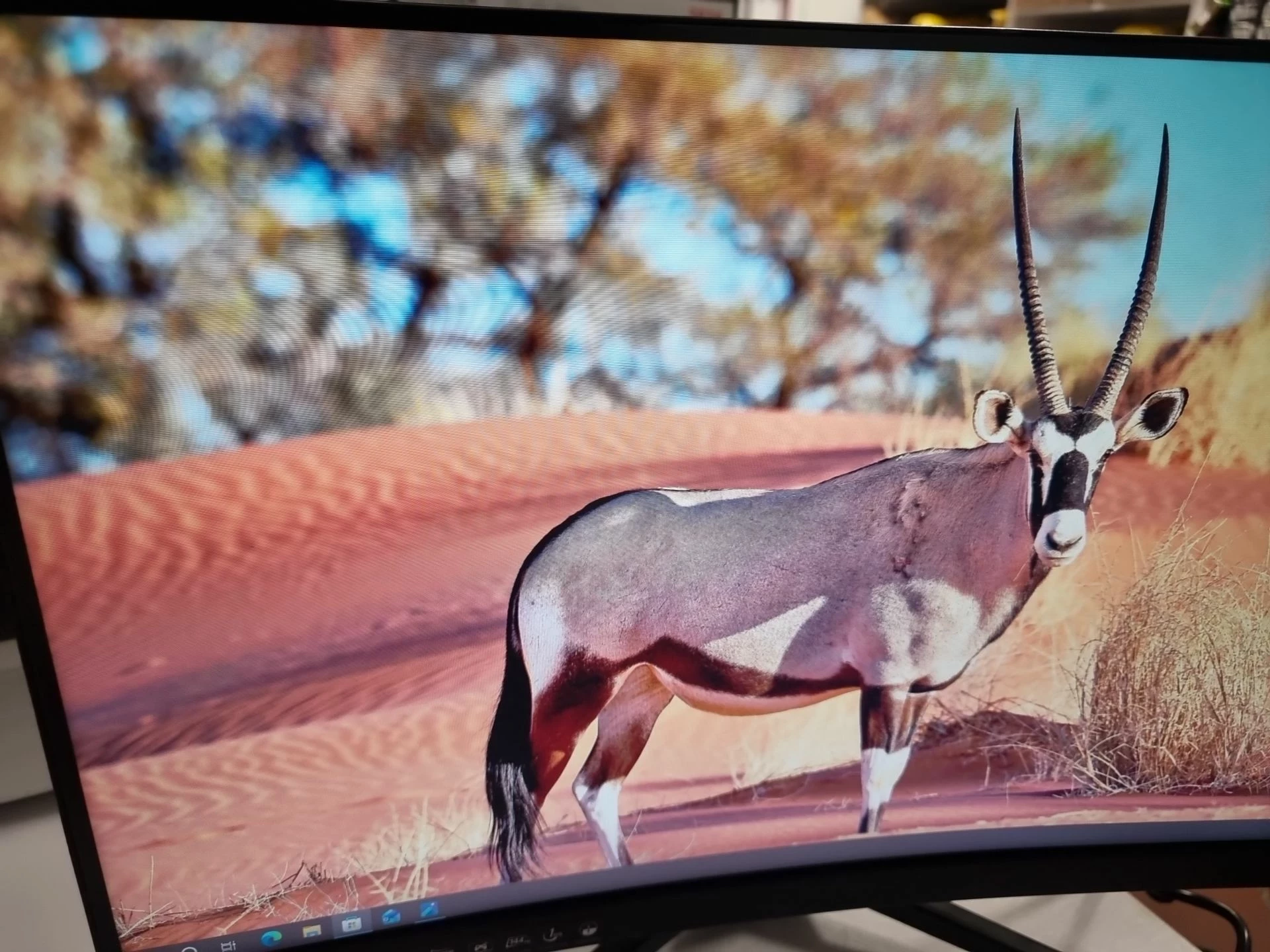 monitor-msi-optix-g241vc-model-optix-g241vc