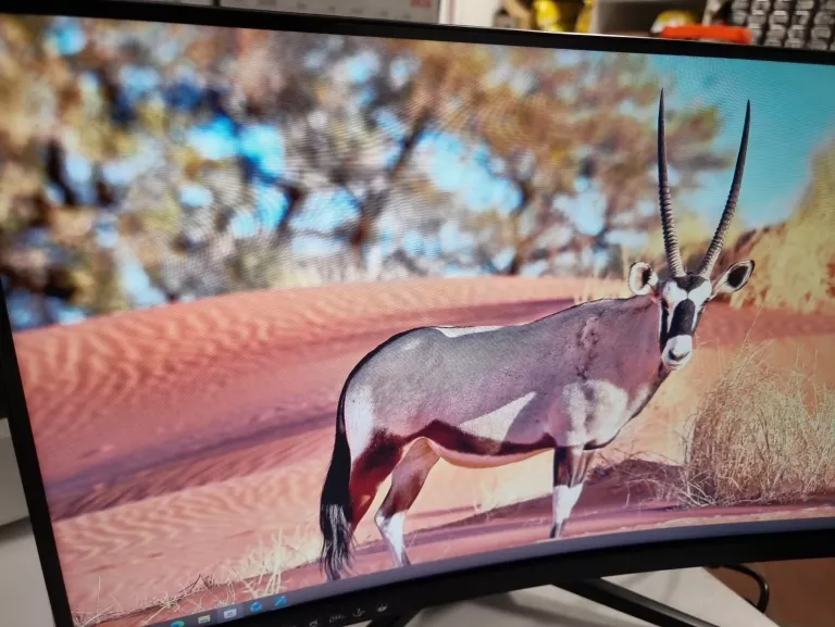 monitor-msi-optix-g241vc-kolor-249512-1647413