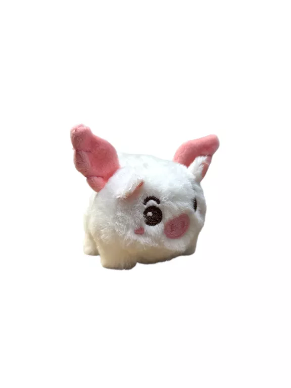 pluszak-swinka-ze-skrzydlami-biala-daszynskiego-22-wroclaw-gracja