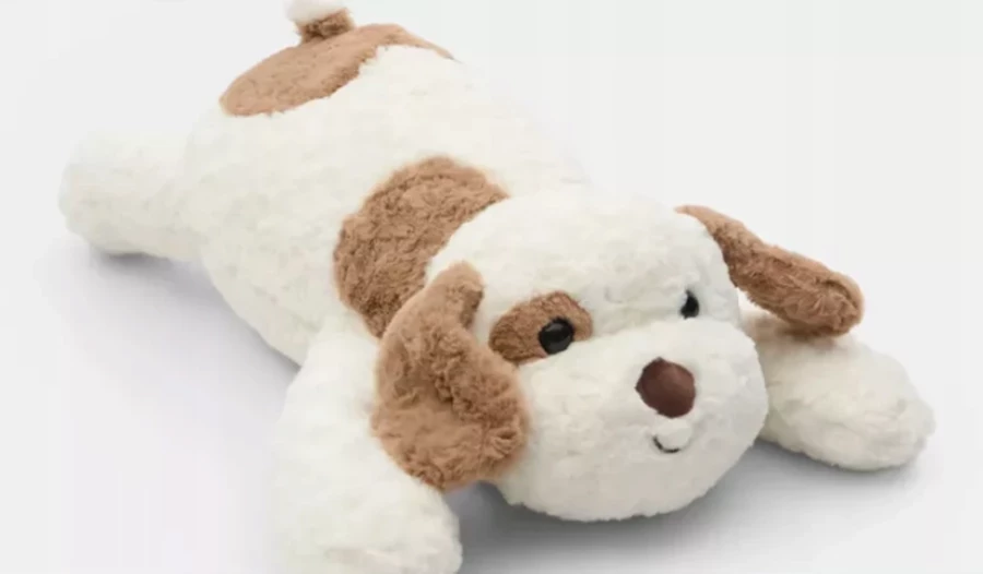 sinsay-piesek-z-kocykiem-5907830994279-jednosci-narodowej-1091b-sj-wroclaw