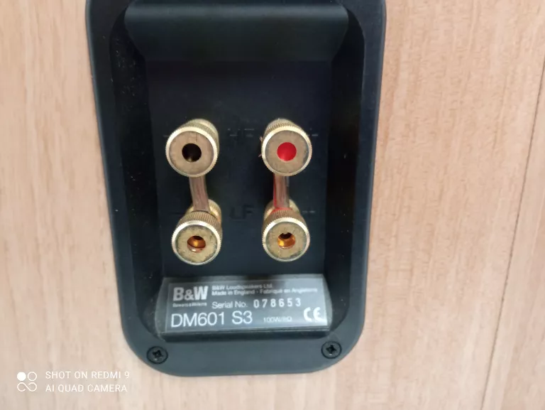 glosniki-bw-db601s3-marka-248811-1949243