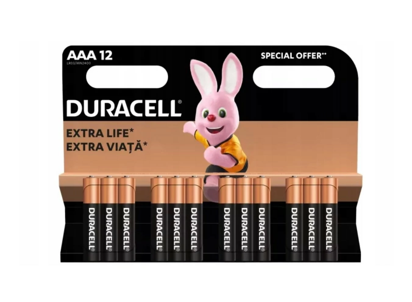 bateria-alkaliczna-duracell-aaa-r3-12-szt-bytomska-78-piekary-slaskie
