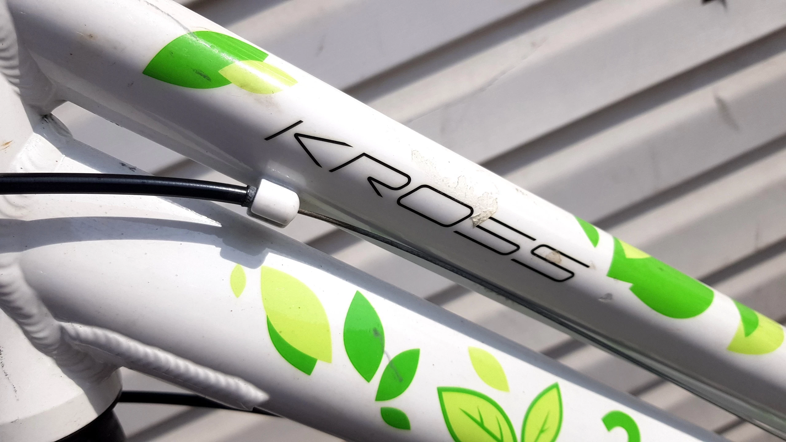 rower-kross-trans-siberian-rama-17-kola-28-rama-19-cali-opis-wzrost-uzytkownika-168