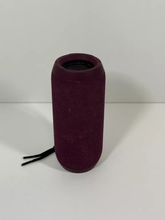 glosnik-nitempo-fioletowy-mickiewicza-12-pelplin