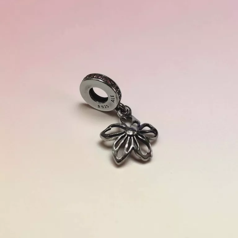 srebrna-zawieszka-charms-srebro-925-waga-166-g-material-15835-4