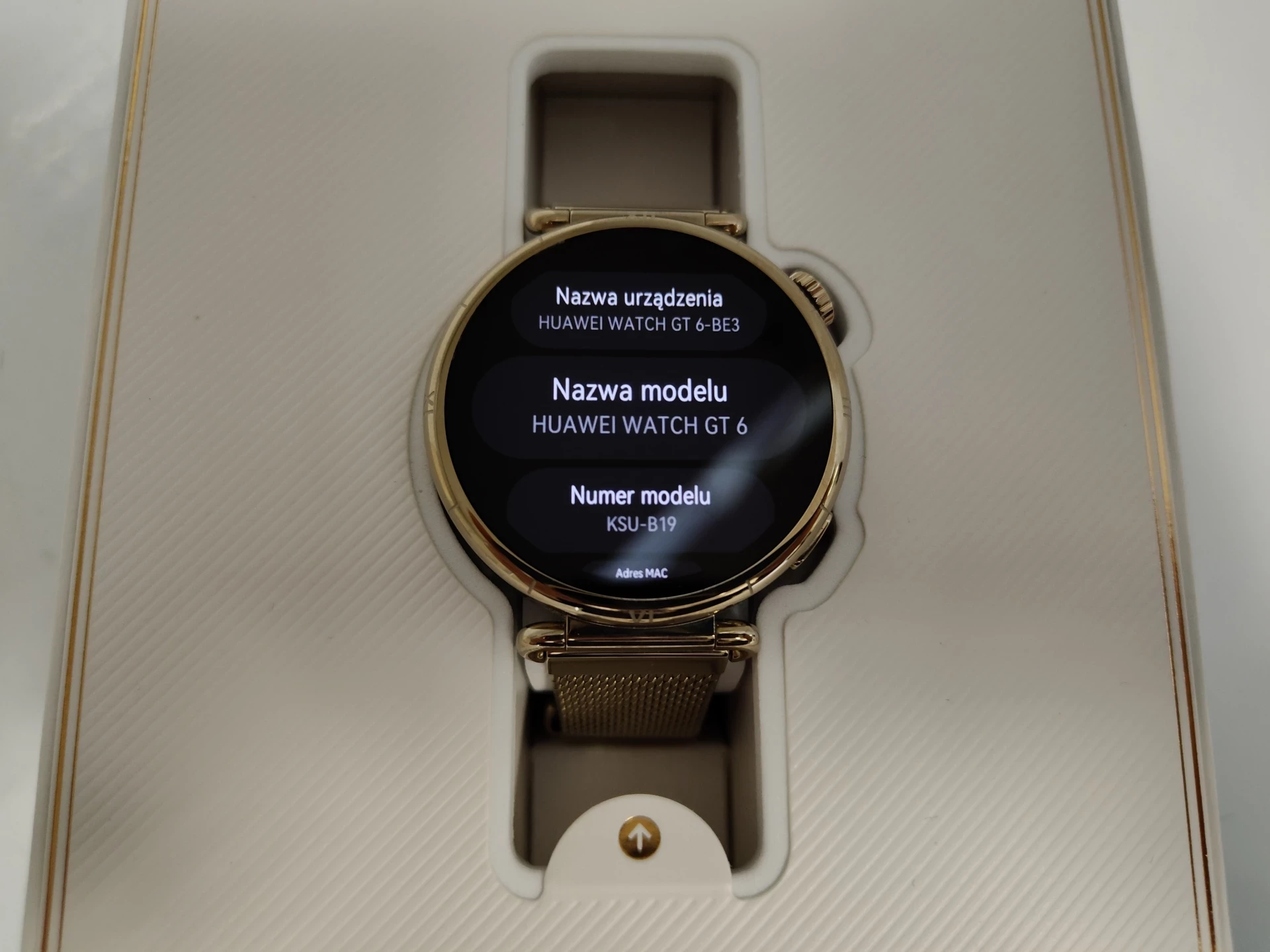 damski-smartwatch-huawei-watch-gt-6-41mm-elegant-bransoleta-amoled-zloty-ean-gtin-6942103168239