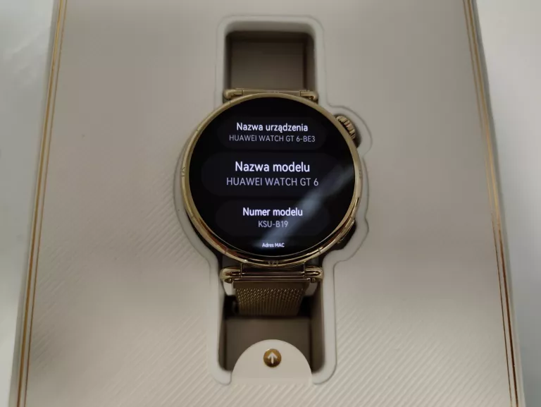 damski-smartwatch-huawei-watch-gt-6-41mm-elegant-bransoleta-amoled-zloty-ean-gtin-6942103168239