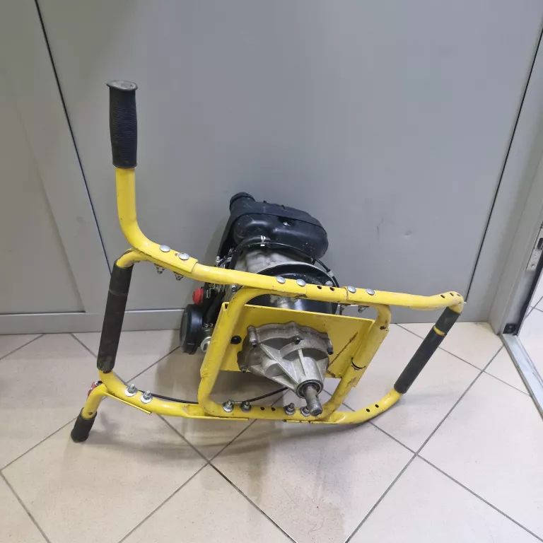 sw02-swider-glebowy-cedrus-z-swidrem-pl-jozefa-pilsudskiego-92-gniezno