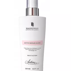 MAGNETIQUE ACTIVE REPAIR 15IN1 SPRAY 250ML MGIEŁKA DO WŁOSÓW