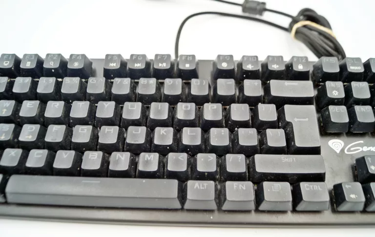 klawiatura-genesis-thor-300-rgb-stan-11323-2