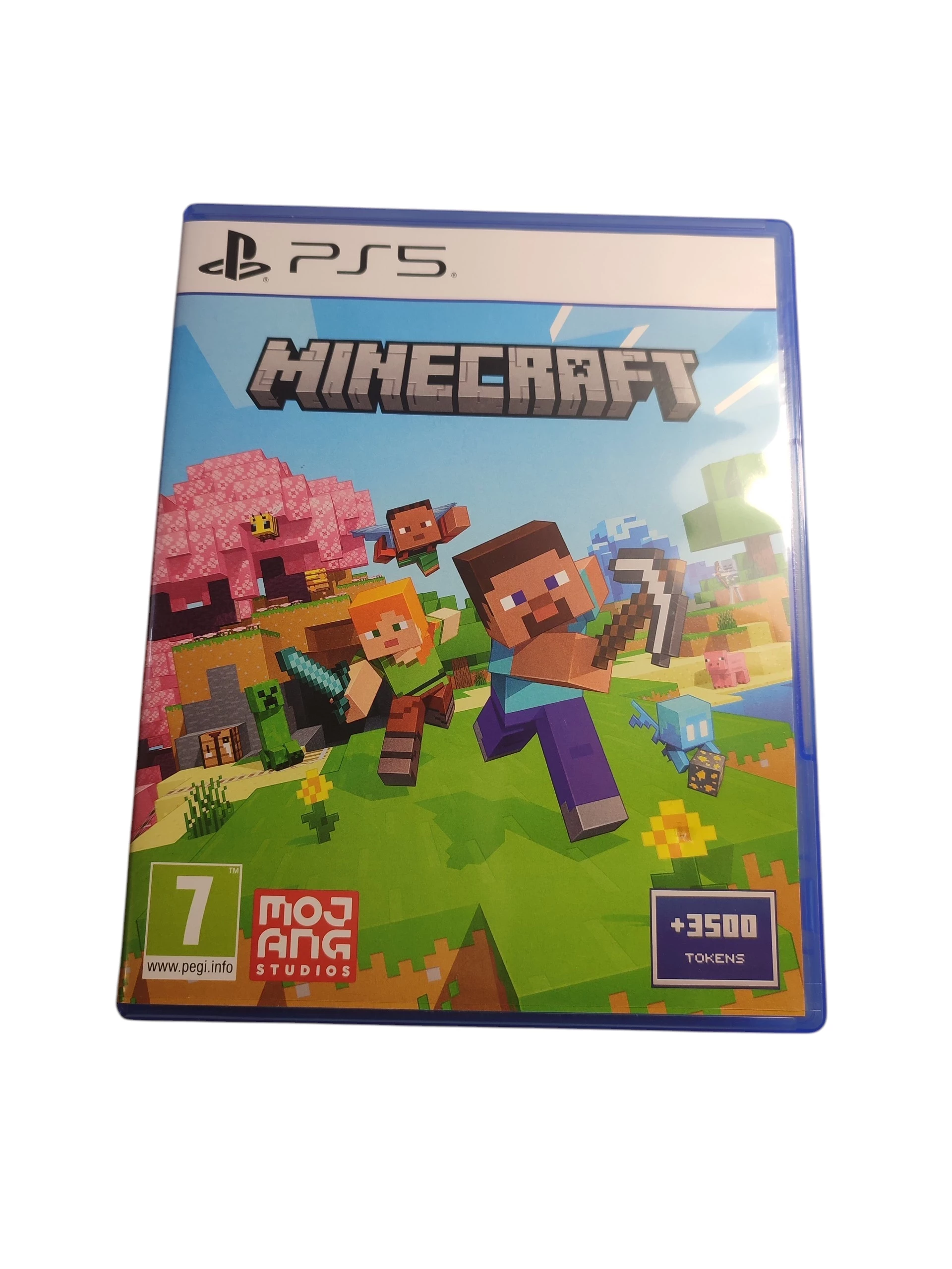 gra-na-ps5-minecraft-dabrowskiego-30-strzegom-sj