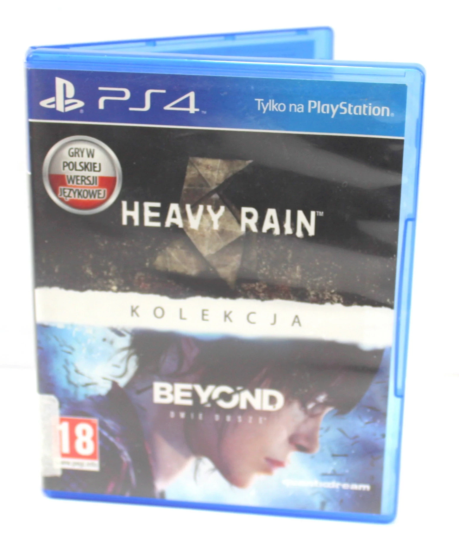 gra-na-ps4-heavy-rain-beyond-bielnikowa-4-dzialdowo