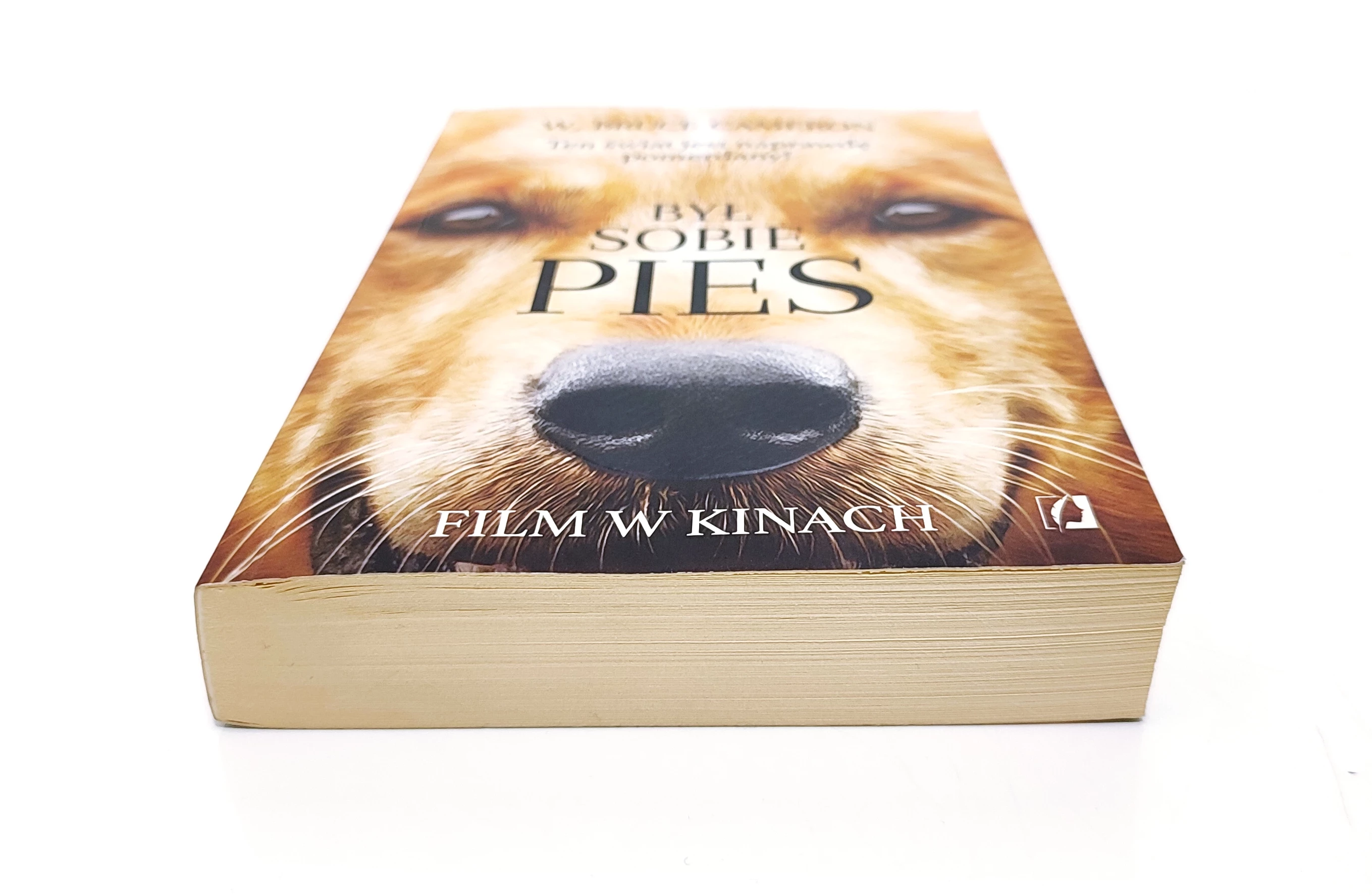 ksiazka-byl-sobie-pies-w-bruce-cameron-stan-11323-2