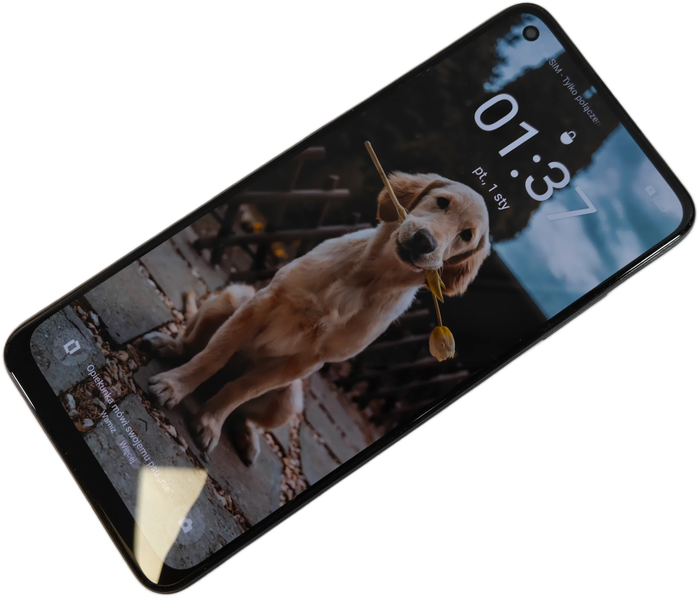 telefon-smartfon-realme-10-8-gb-256-gb-4g-lte-niebiesko-czarny-pamiec-ram-202865-214113