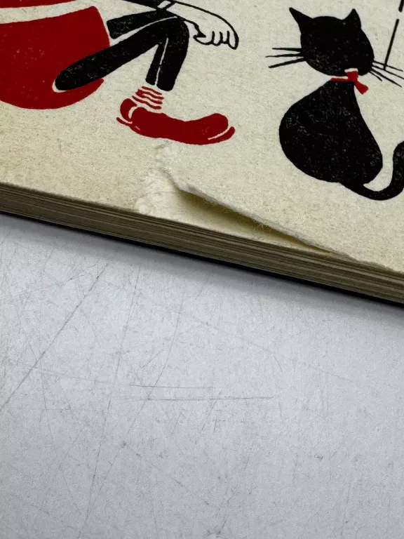 ksiazka-jak-fotografowac-druhem-witold-dederko-wzfo-tytul-jak-fotografowac-druhem