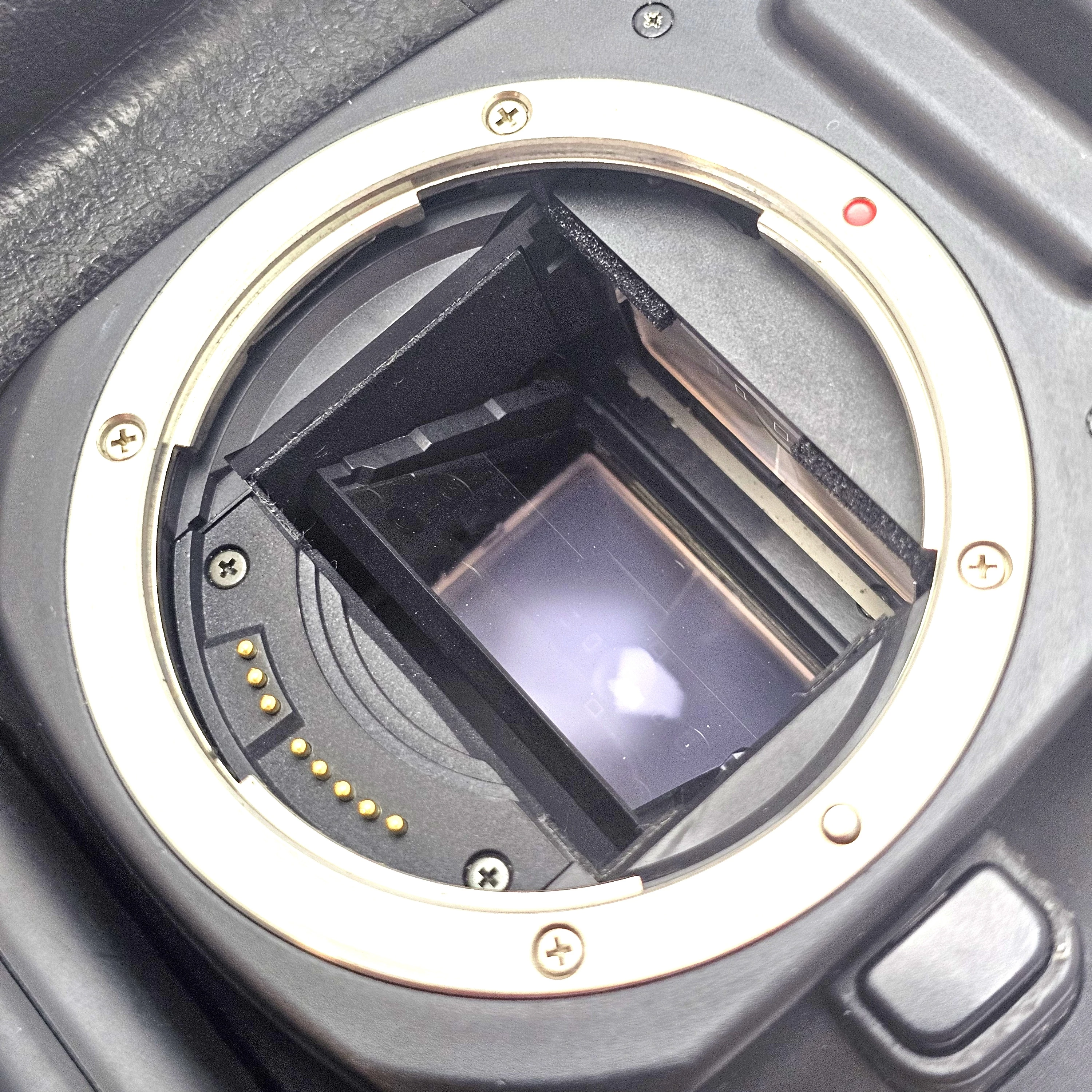 body-canon-eos-33-battery-pack-kod-producenta-01010101010