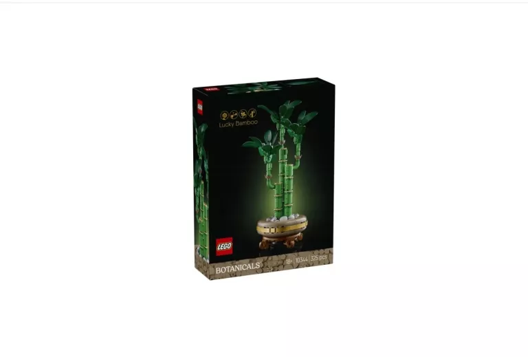 10344-lego-botanicals-dracena-sandera-dworcowa-28-zielona-gora