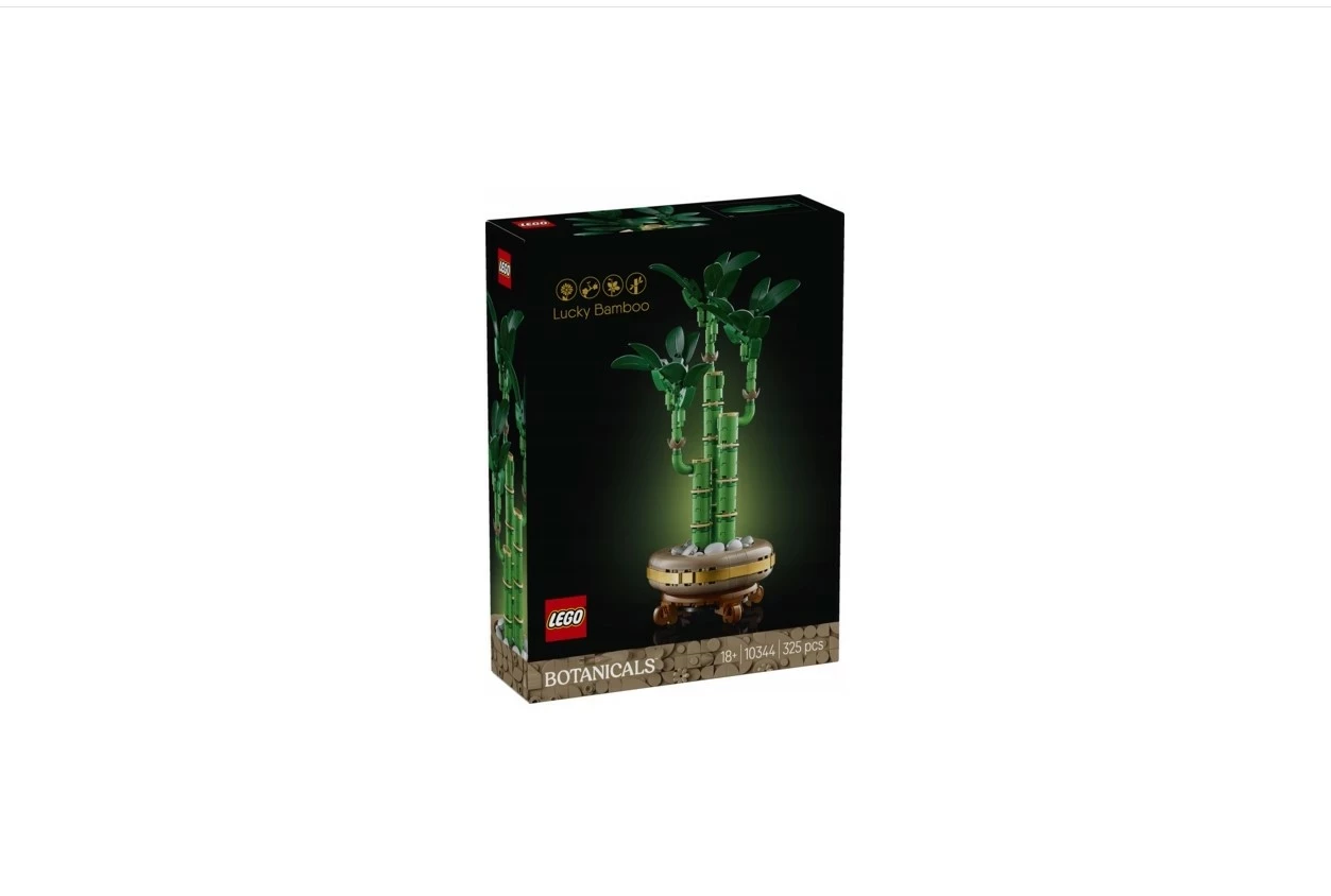 10344-lego-botanicals-dracena-sandera-dworcowa-28-zielona-gora