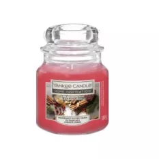 ŚWIECA ZAPACHOWA PARAFINOWA KARDAMON, CYNAMON, JABŁKA YANKEE CANDLE 104G